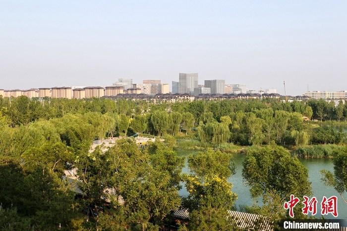 從完成頂層設(shè)計(jì)到如火如荼大規(guī)模建設(shè)，六年來，雄安新區(qū)如春天的竹子一般拔節(jié)生長，這座承載千年大計(jì)的“未來之城”已雄姿初顯。從“一張白紙”開始著墨，如今的雄安新區(qū)已是濃墨重彩的“山水畫”。<a target='_blank' href='/'>中新社</a>記者近日走訪了雄安新區(qū)多地，從“藍(lán)綠金”三色感受這座“未來之城”的巨大變化。圖為7月18日拍攝的河北雄安新區(qū)金湖公園。 <a target='_blank' href='/'>中新社</a>記者 易海菲 攝